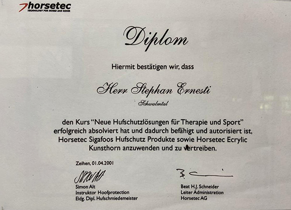 Stephan Ernesti 2001 Hufschutzlösungen Diplom